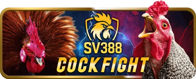 Thưởng nạp lại hàng ngày/tuần tại 97win